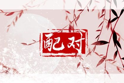 星座与八字：两套语言
